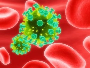 HIV virus u krvi