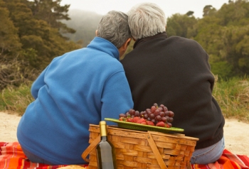 Stariji par na pikniku