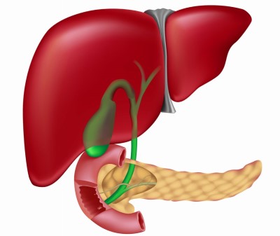 Hepatitis